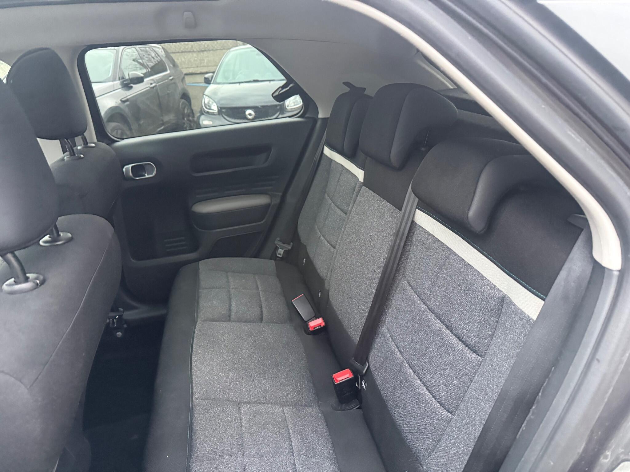 Seats Rear